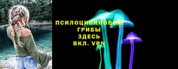 мяу мяу мука Карталы
