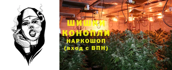 крисы Касимов