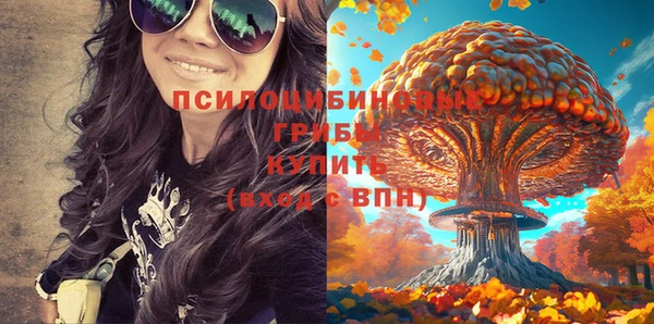 крисы Касимов