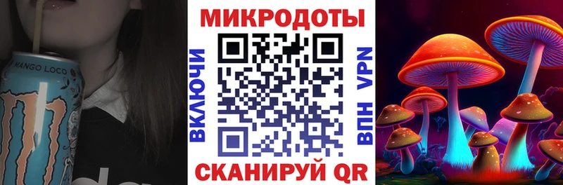 Купить где  Борзя  Галлюциногенные грибы мицелий 